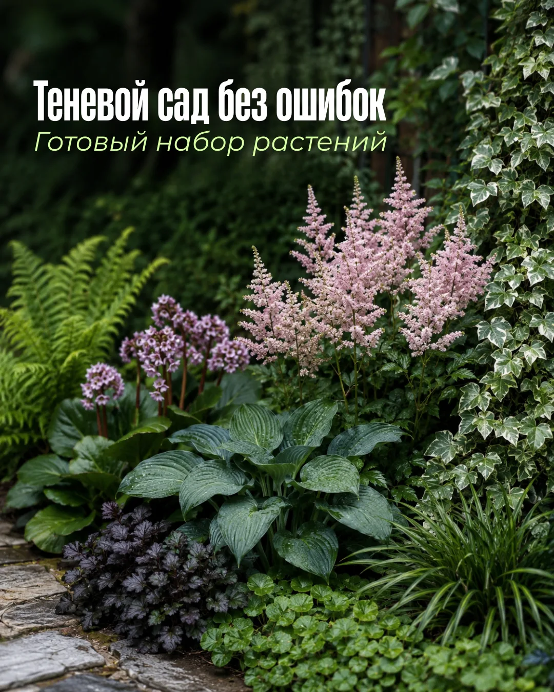 Теневой сад без ошибок: готовый набор растений