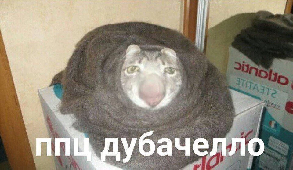 Изображение 1 к публикации «74.RU | Новости Челябинска»