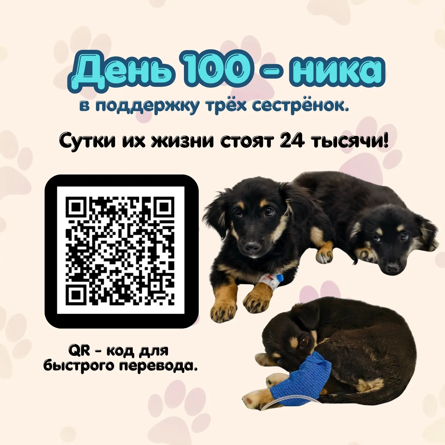 Сутки жизни этих малышек сейчас стоят 24 тысячи.