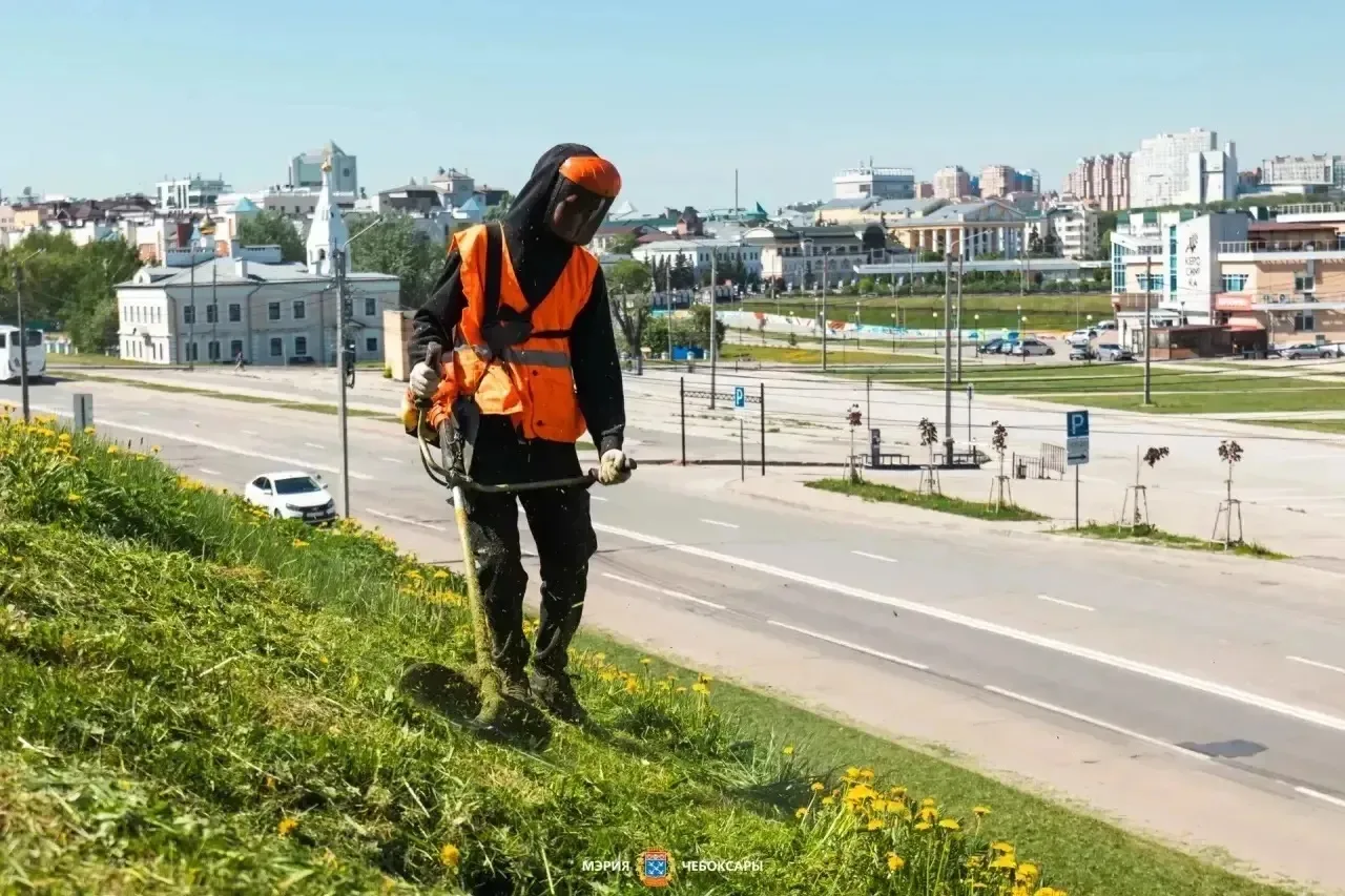 В Чебоксарах сейчас продолжается плановый покос травы  Свежескошенные газоны — это не просто эстетик