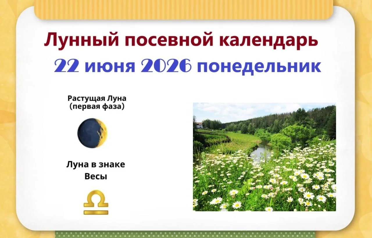2️⃣2️⃣ июня, понедельник
🌒 Растущая Луна в Весах♎️

Весы – средний по плодородности знак. Обеспечив