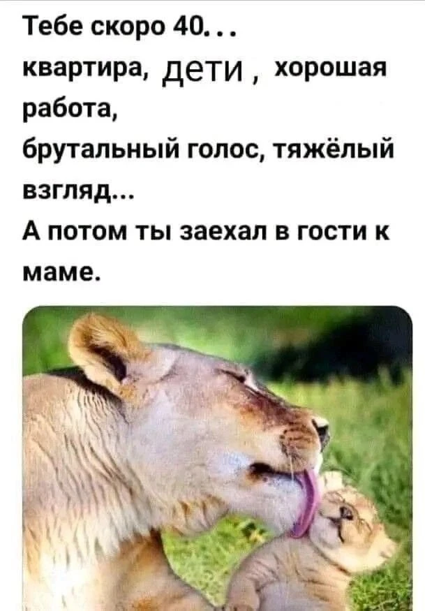 Вы уже взрослый человек, у вас своя семья и свои решения, но при встрече с родителями в...