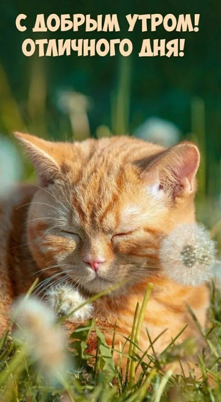 Доброго всем утра и отличного дня, мои дорогие..)) 😍🥰
