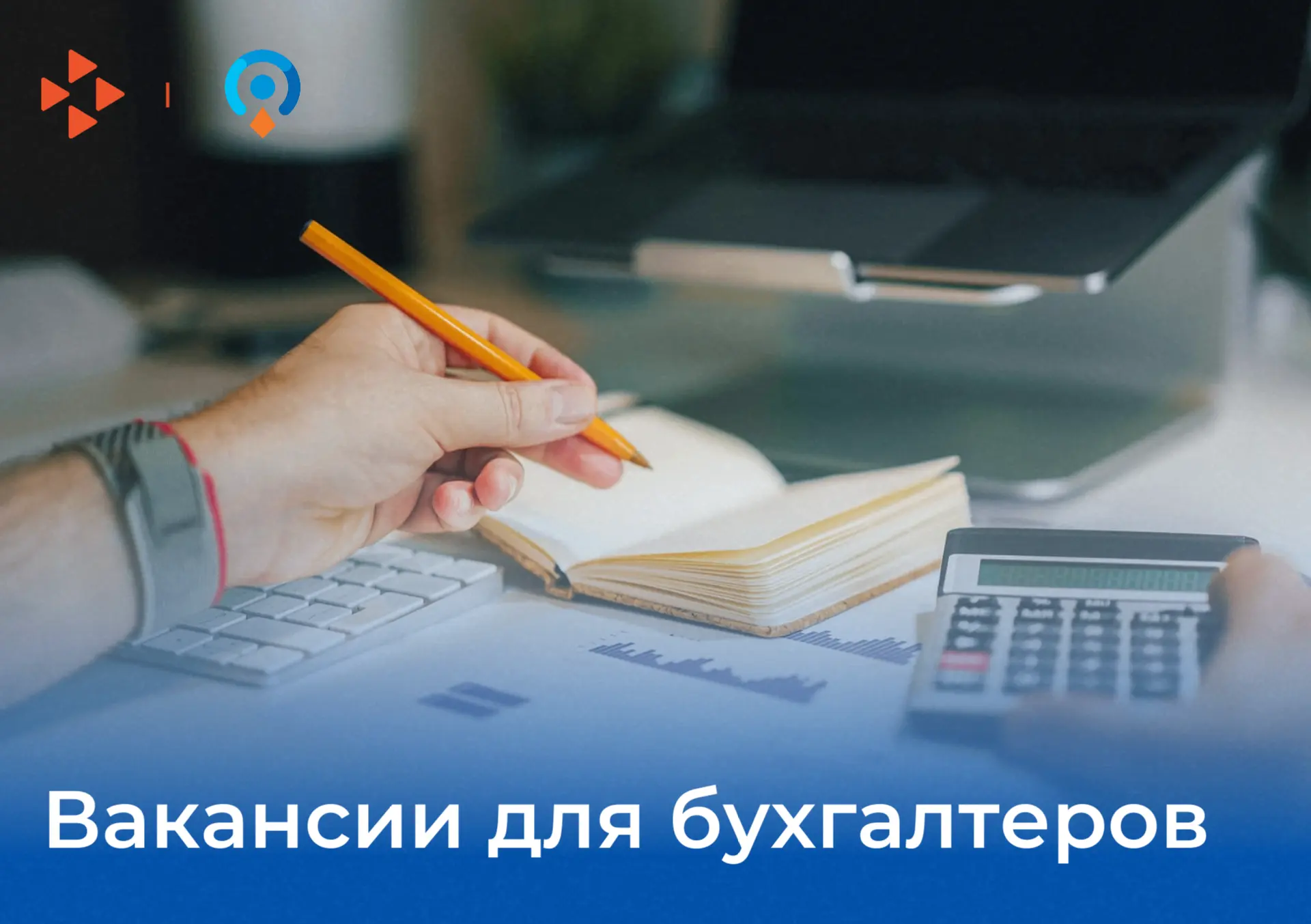 Вакансии с зарплатой до 111 тысяч рублей открыты для бухгалтеров Севастополя