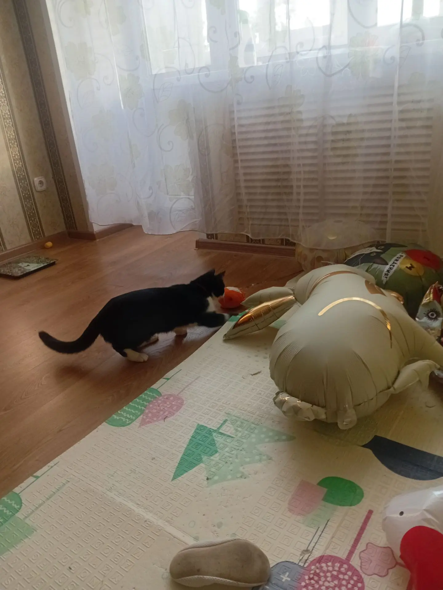 Давно не было постов. Простите, пропадаем — пропадаем 🐾