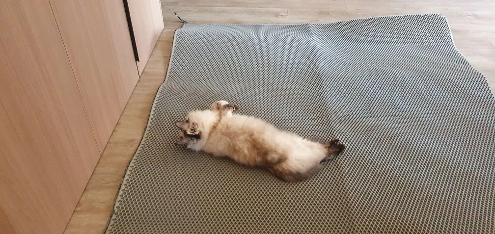 Постелили на пол в салон новое покрытие. Мягкий коврик который лежал раньше, убрали - он собирает пы