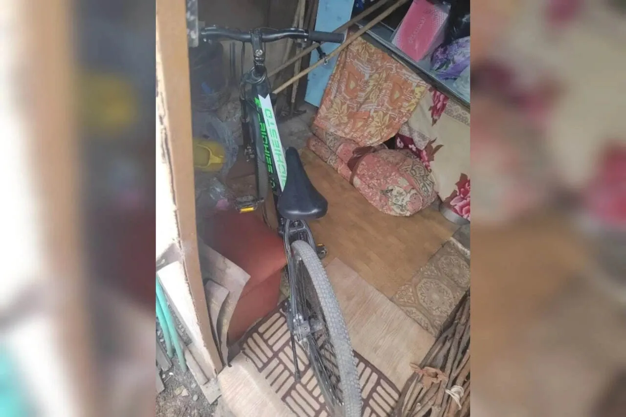 Вот так бабуля: в Абдулино пенсионерка на старости лет умыкнула из дома велосипед