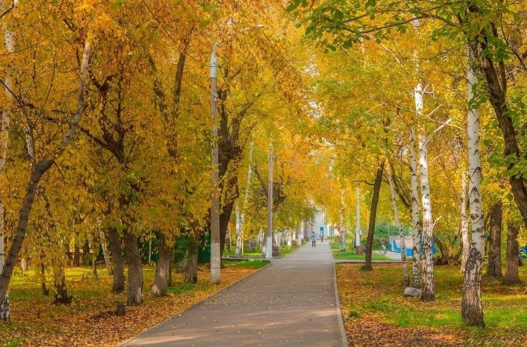 Доброе утро, Рубцовск🍂