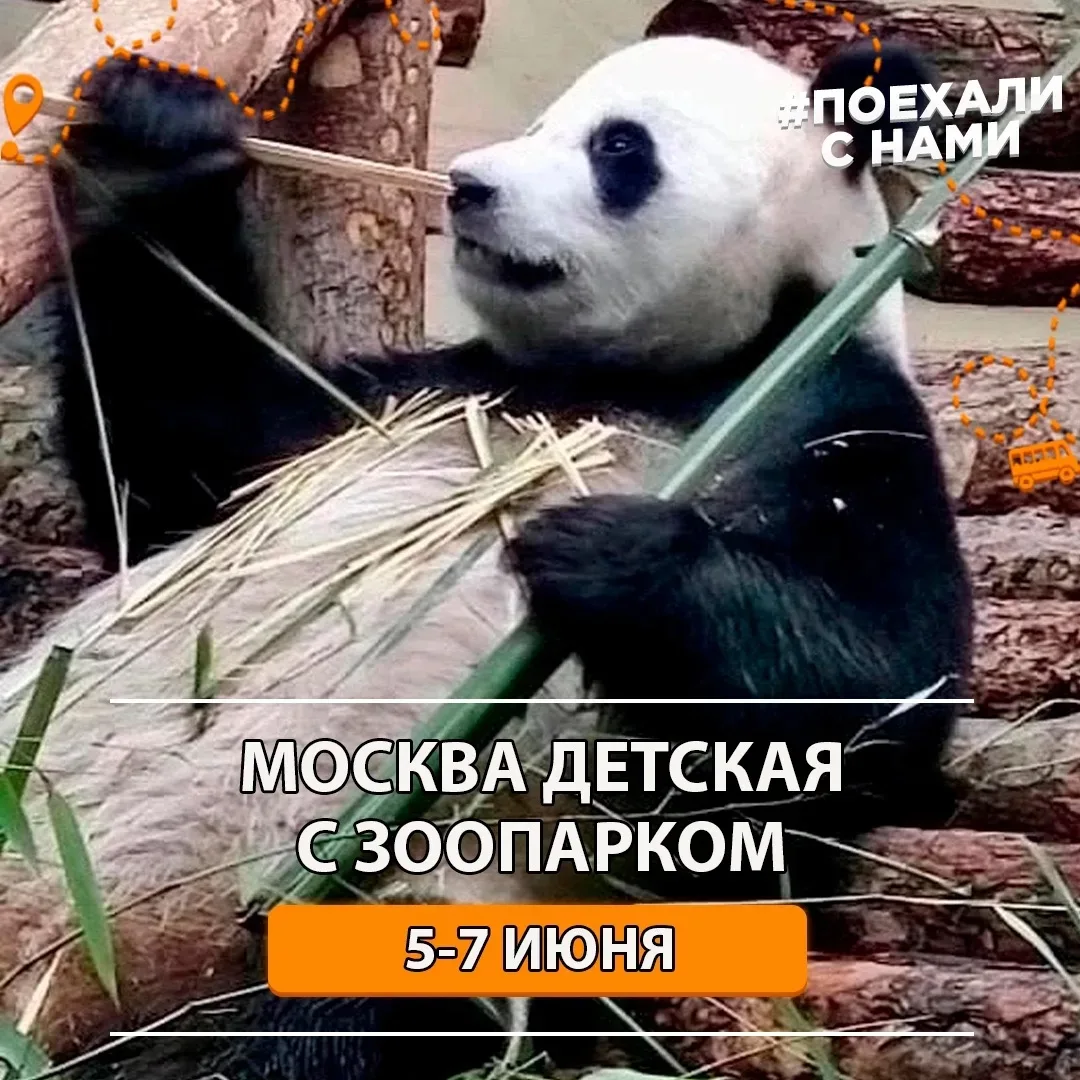 4 места на замену с отличной скидкой‼️