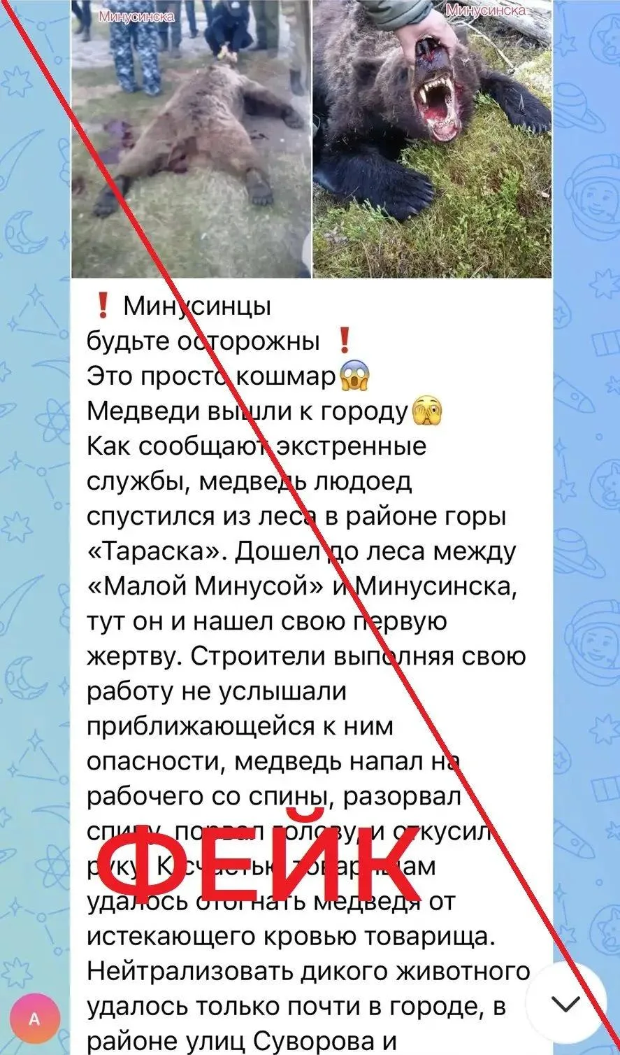 В социальных сетях и мессенджерах распространяется сообщение о нападении медведя на чел...