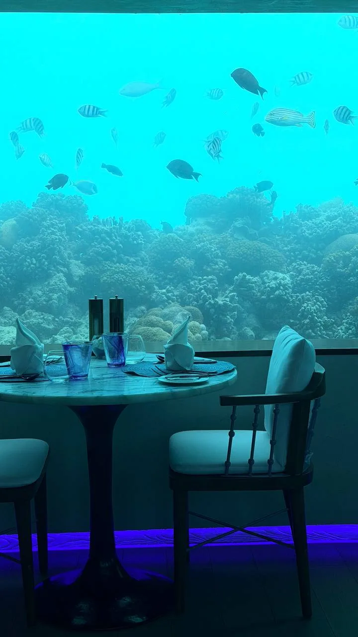 Ужин на глубине почти 7 метров: обзор подводного ресторана Only BLU на Мальдивах 🌊🐠
