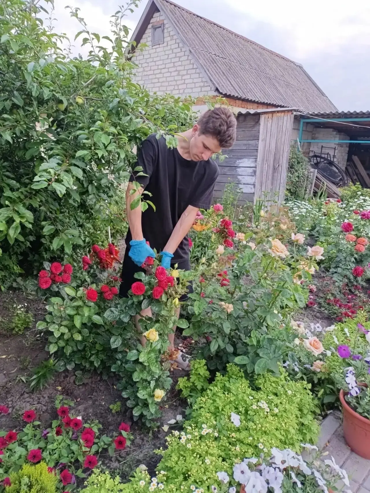 🌸 Наше лето