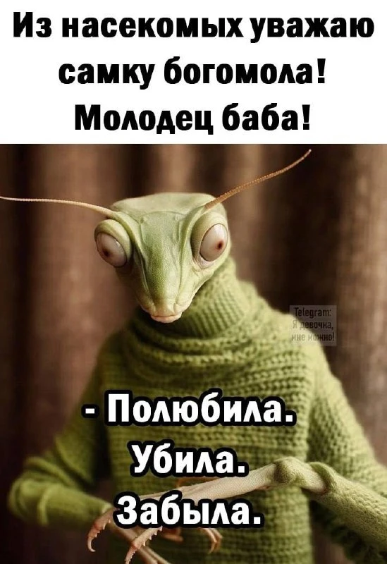 👀MAX С Юмором‼️