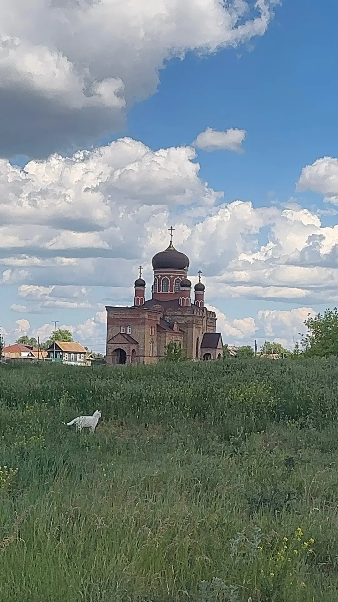 🌸Добрый деревенский денечек,наши дорогие друзья!🦋
 У нас сегодня то солнышко и душно,то дождик идё