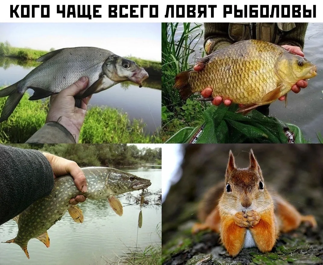 #МЕМЫ