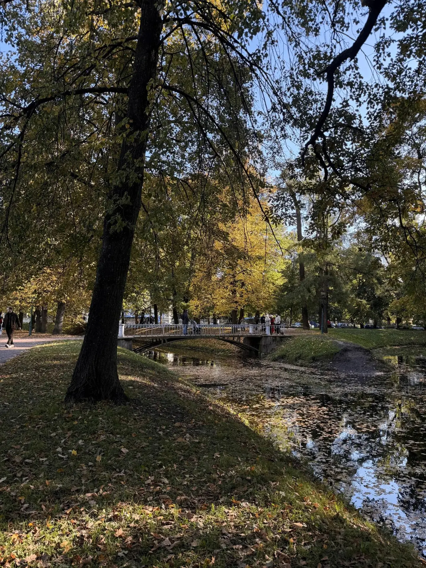 Романтизировать осень - это лайфхак! 🍁☺️