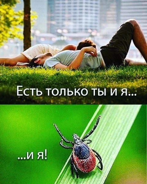 Доброе утро любимые ❤️😘
Будьте бдительны !)