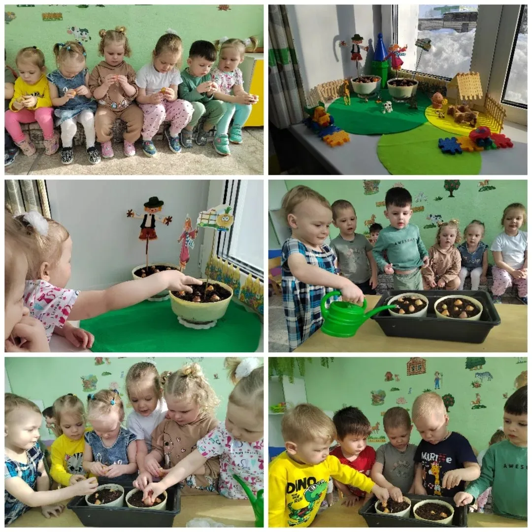 Мы ребята, малыши.