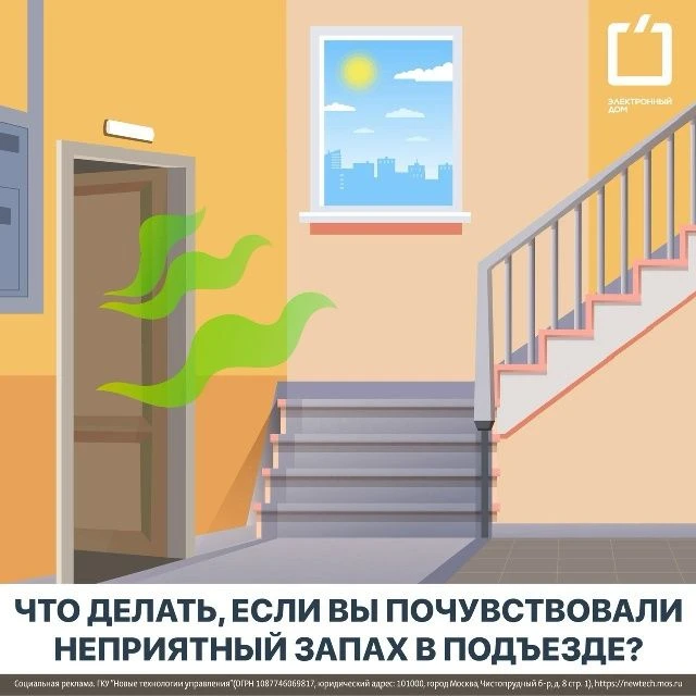 Иногда в доме или во дворе могут появиться неприятные запахи — бороться с ними можно и ...