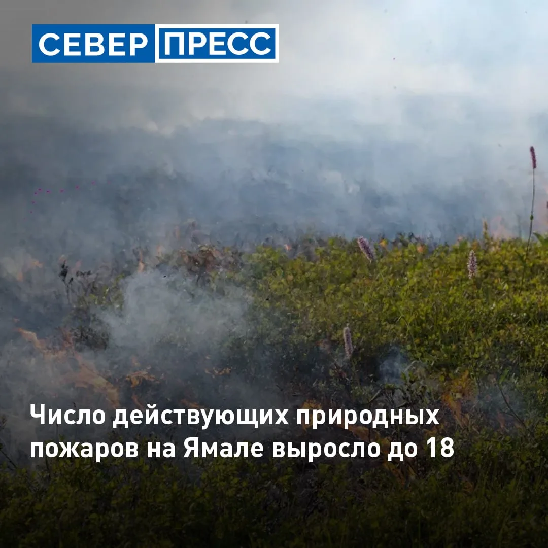На Ямале к утру 21 июня действуют 18 природных пожаров в Пуровском, Красноселькупском, Надымском и Т