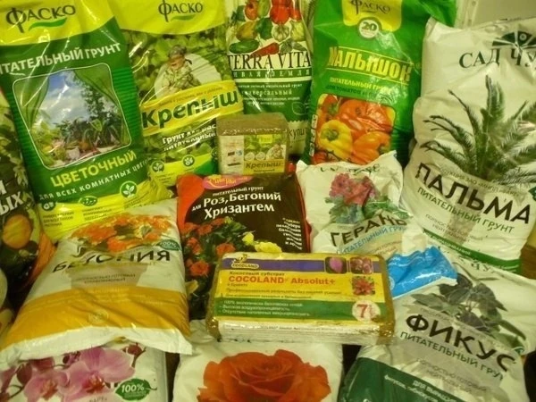 НЕМНОГО О ГРУНТАХ ДЛЯ ЦВЕТОВ.

Сегодня можно легко купить готовые плодородные грунты разного назначе