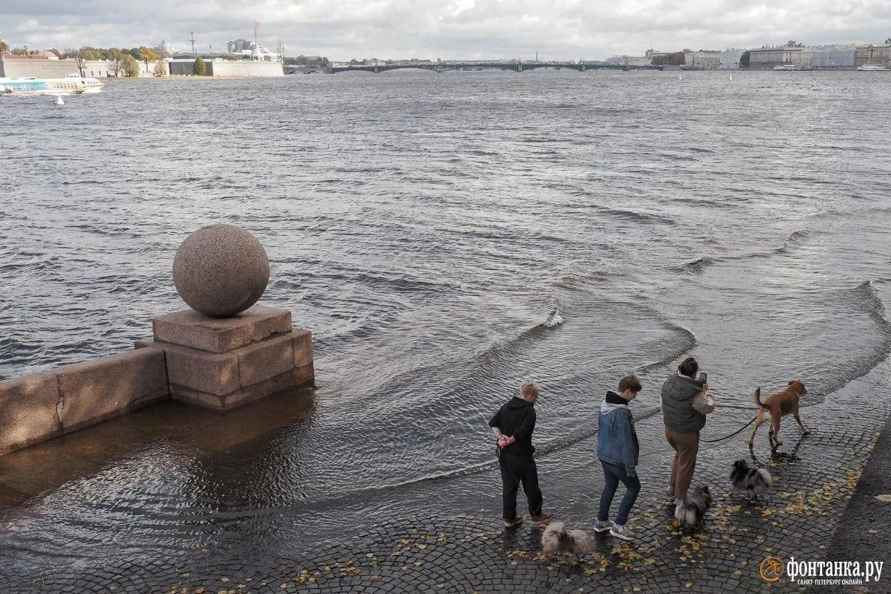 Уровень воды в Неве поднялся выше нормы 🌊