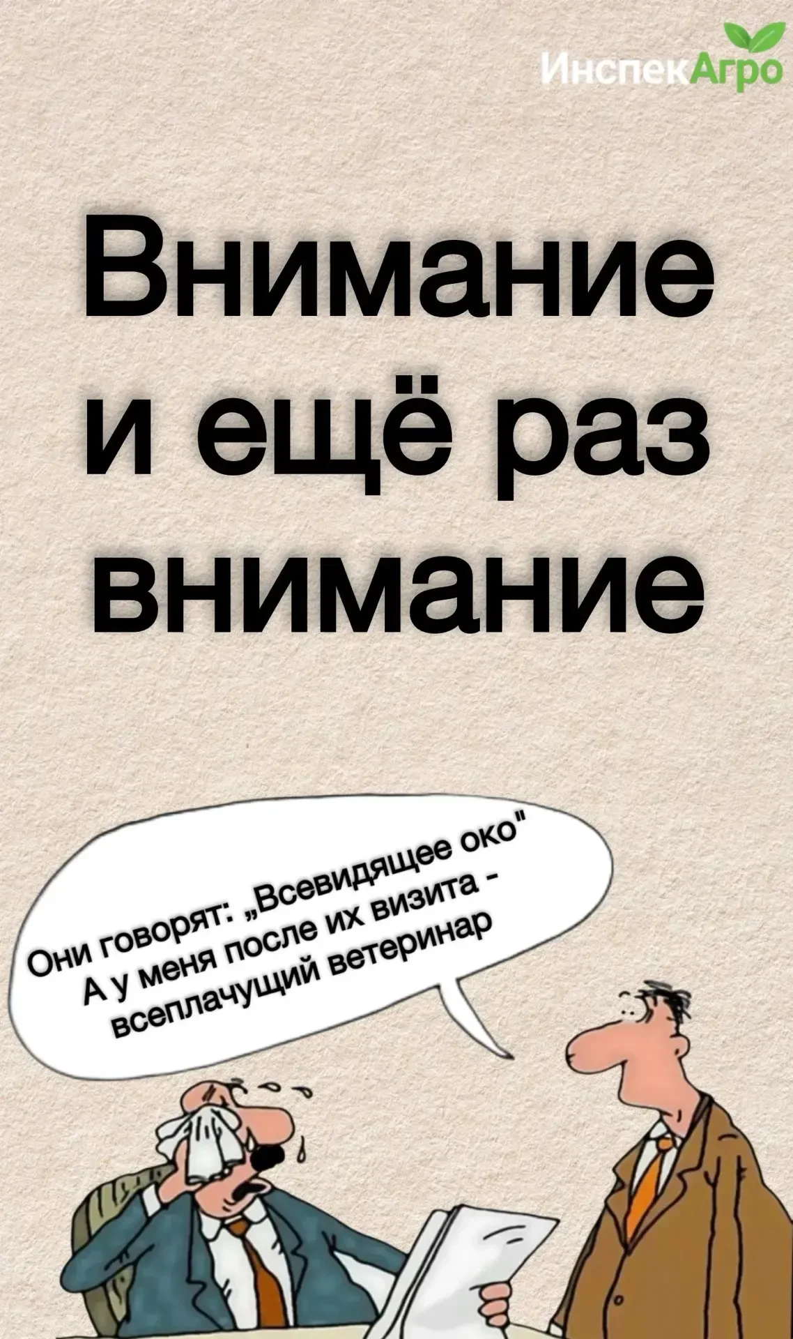 📍В предыдущем релизе мы предлагали проверить портал