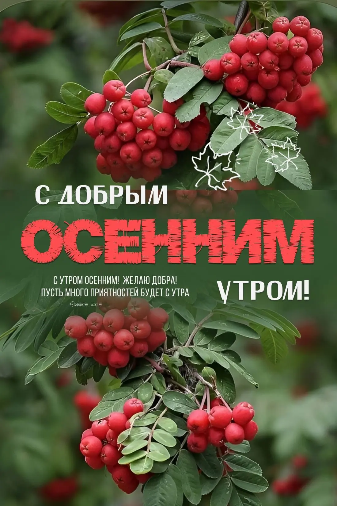 💌 Красивые открытки