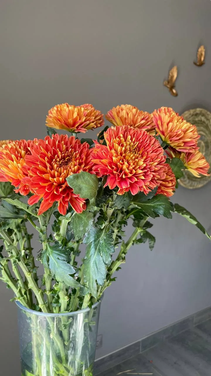 Получаем свежую поставку цветов 💐