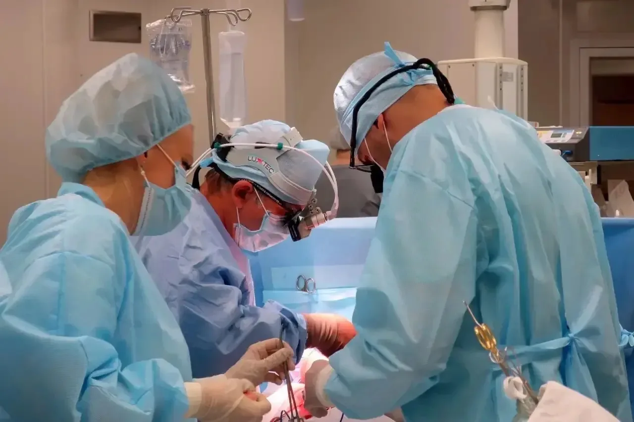 🏥 За сутки свердловские врачи провели семь трансплантаций — и это новый рекорд