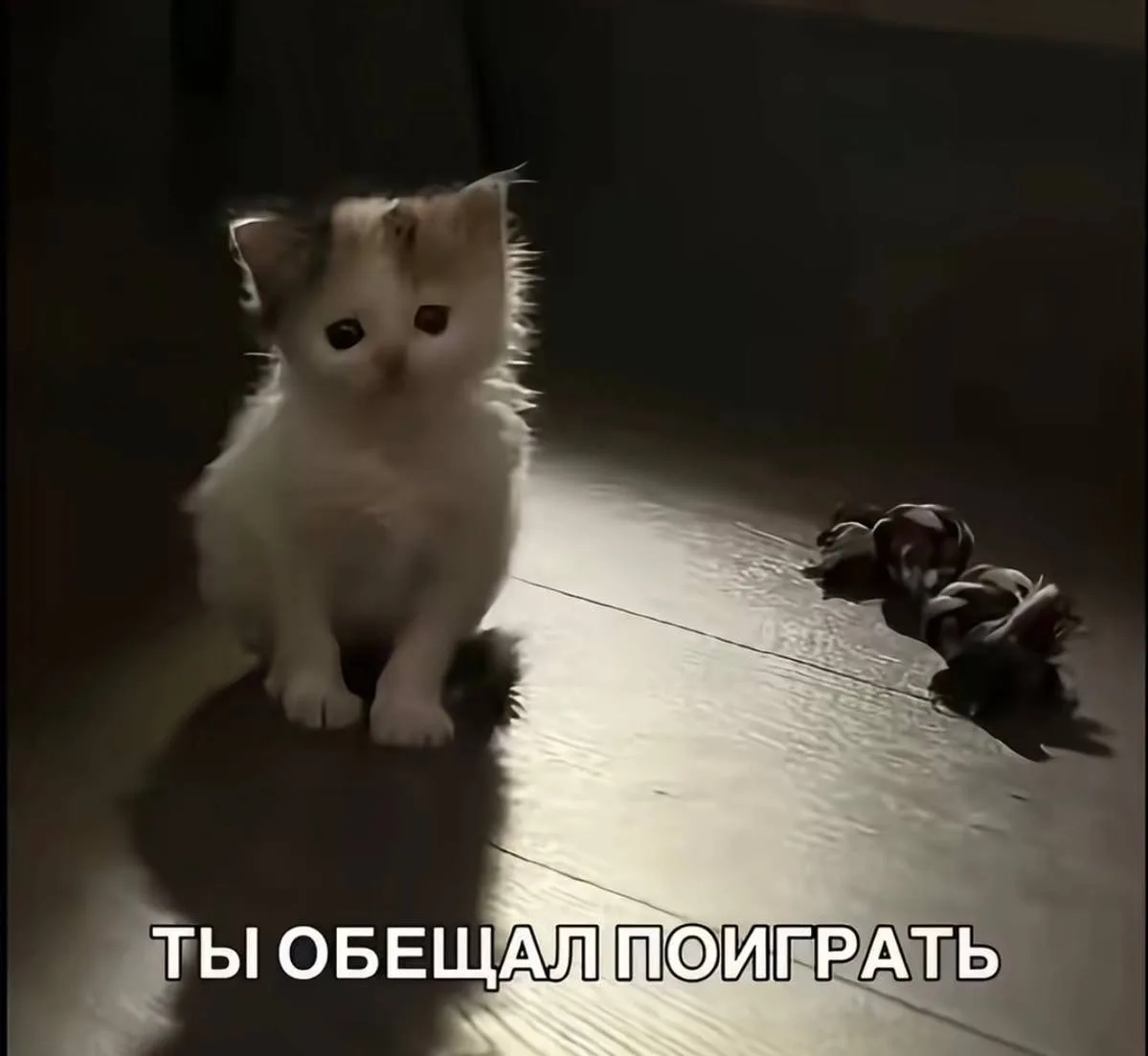 когда твой мужик пришел с работы и лег спать, а тебе охота попиздеть с ним до трёх ночи...