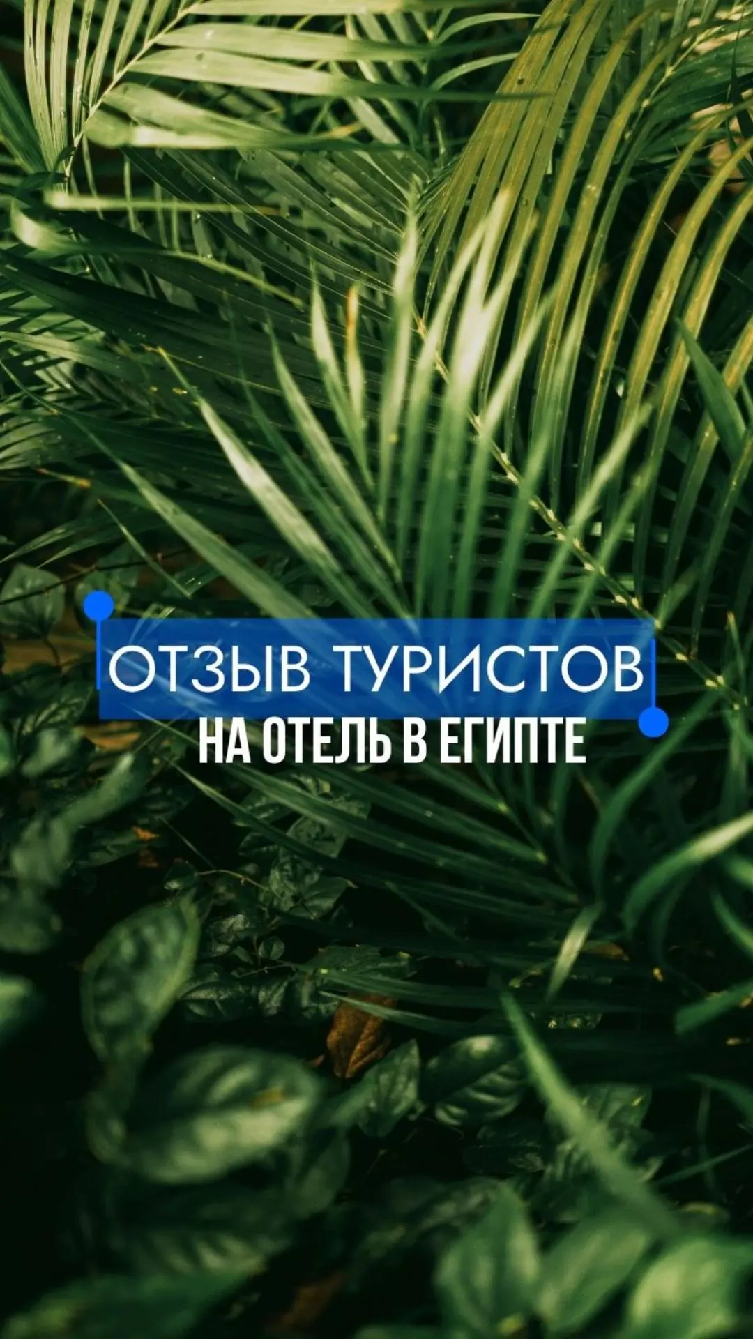 Спасибо большое за Ваши отзывы ❤️