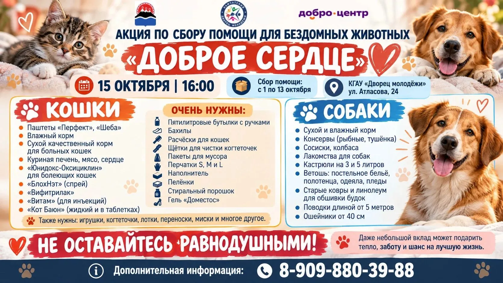 Добро.Центр Камчатского Дворца молодёжи объявляет сбор помощи для бездомных животных!