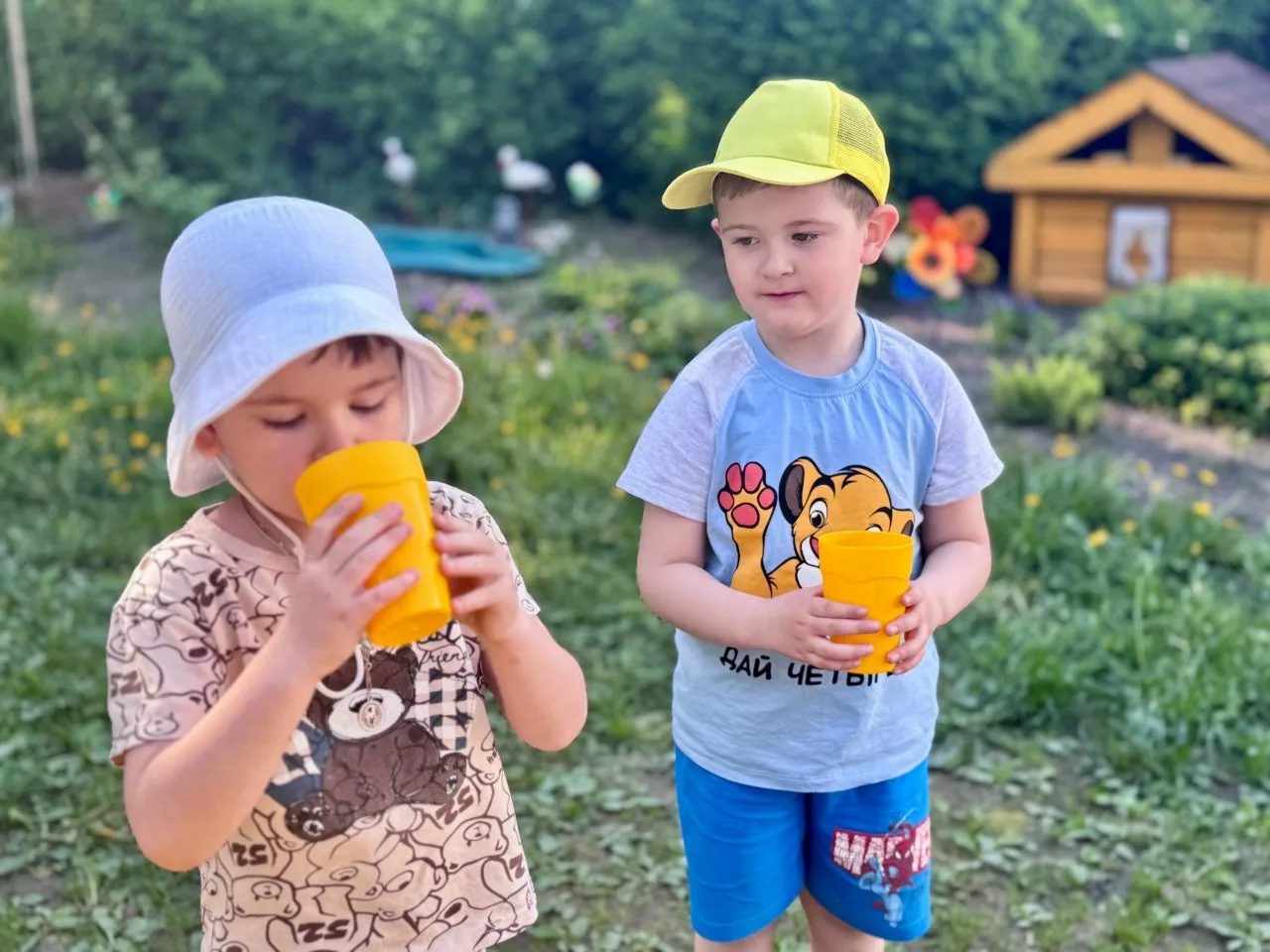Питьевой режим в детском саду