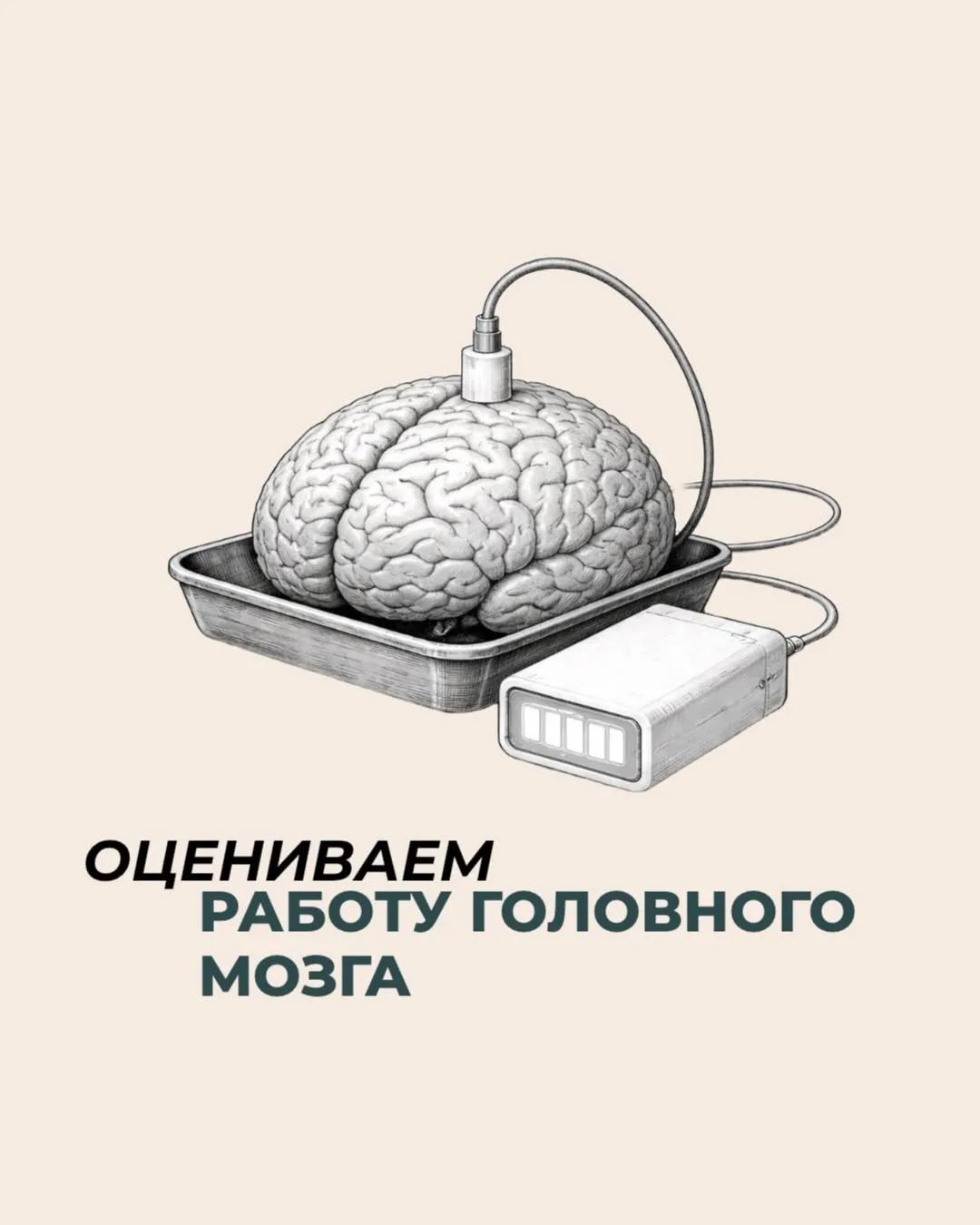 Записаться можно онлайн по ссылке в шапке профиля ☝🏻