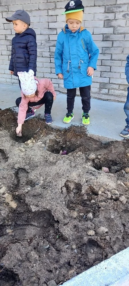" Мы сажаем огород, посмотрите что растёт! "