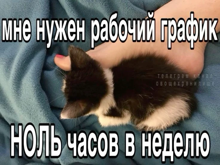 БЛИЗНЕЦЫ, 3 октября. Вот бы тебе платили за крутой характер и красивую вешность...