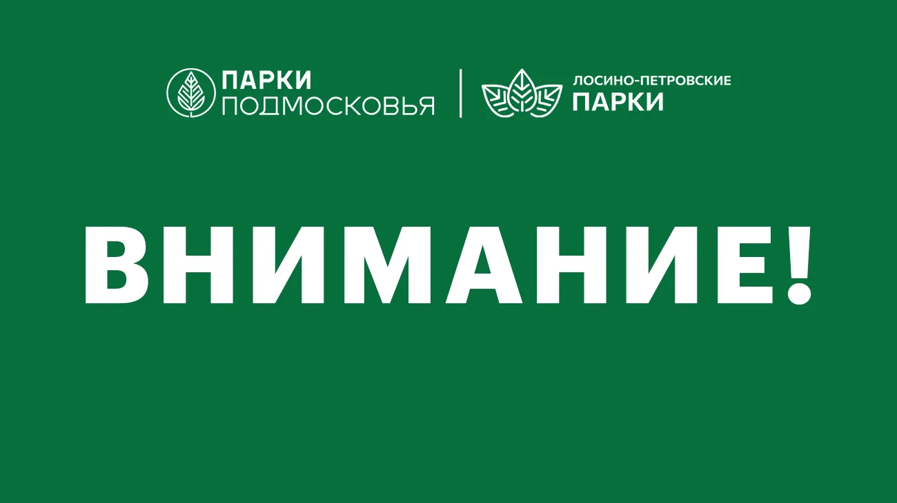 Уважаемые посетители!

Лосино-Петровский парк снова открыт для посещения.

Будем рады видеть вас! 🌳