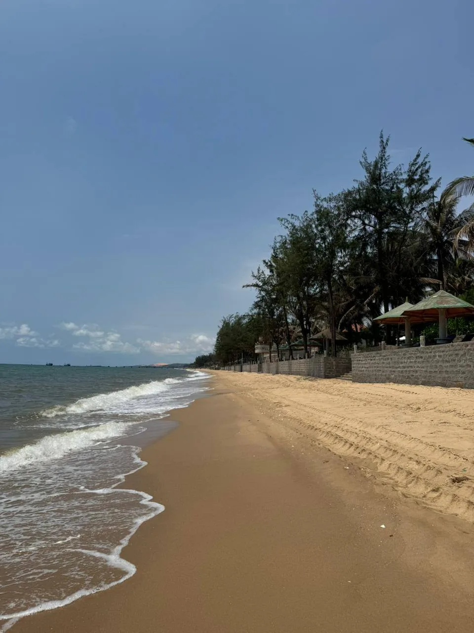 🥂Новый год у моря, без переплаты 


Тур во Вьетнам,  регион Фантьет:
🌴 широкие песчаные пляжи и те