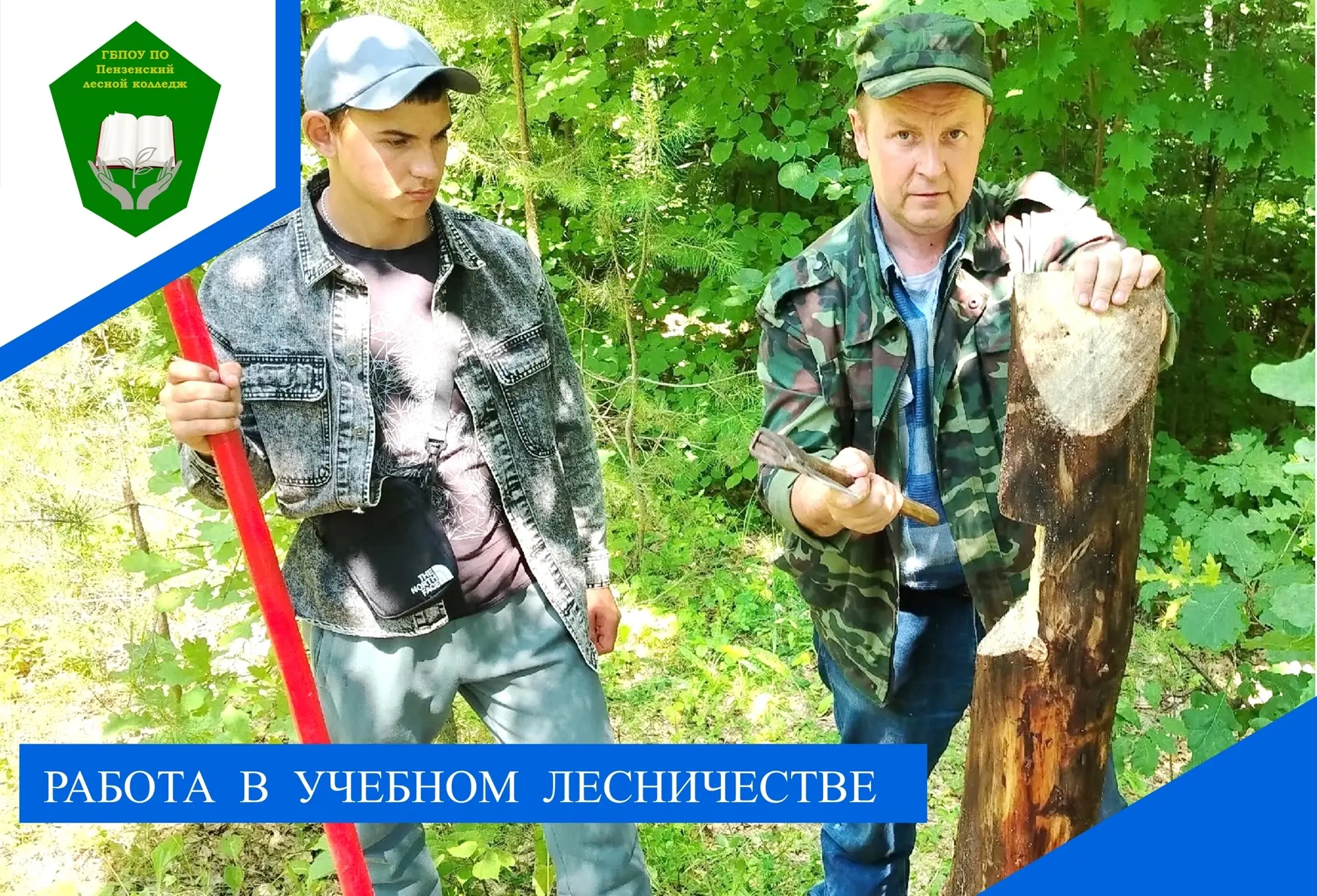 В рамках летней трудовой практики на территории учебного лесничества колледжа был произ...