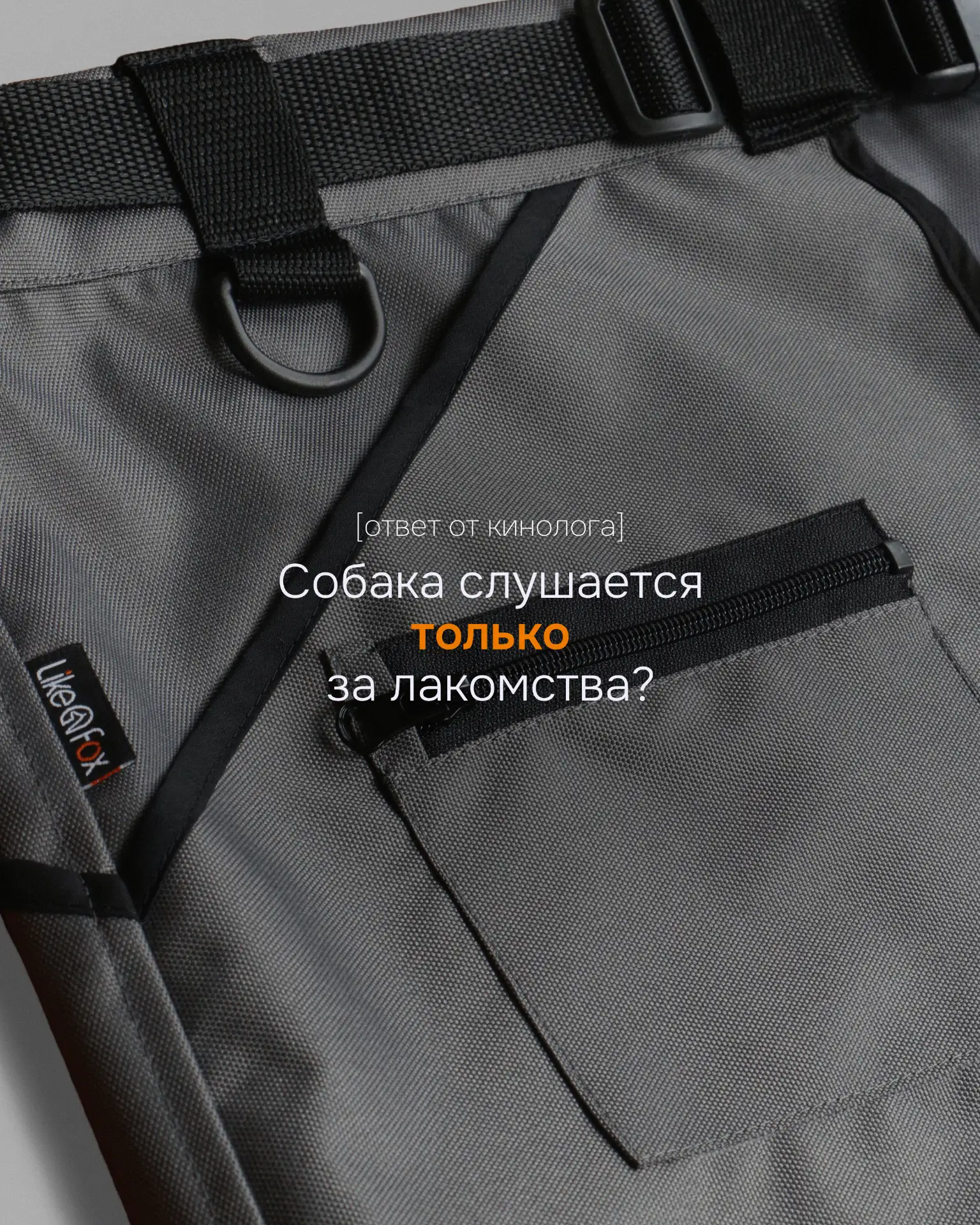 Собака слушается только пока знает, что в кармане есть еда. Знакомо?
