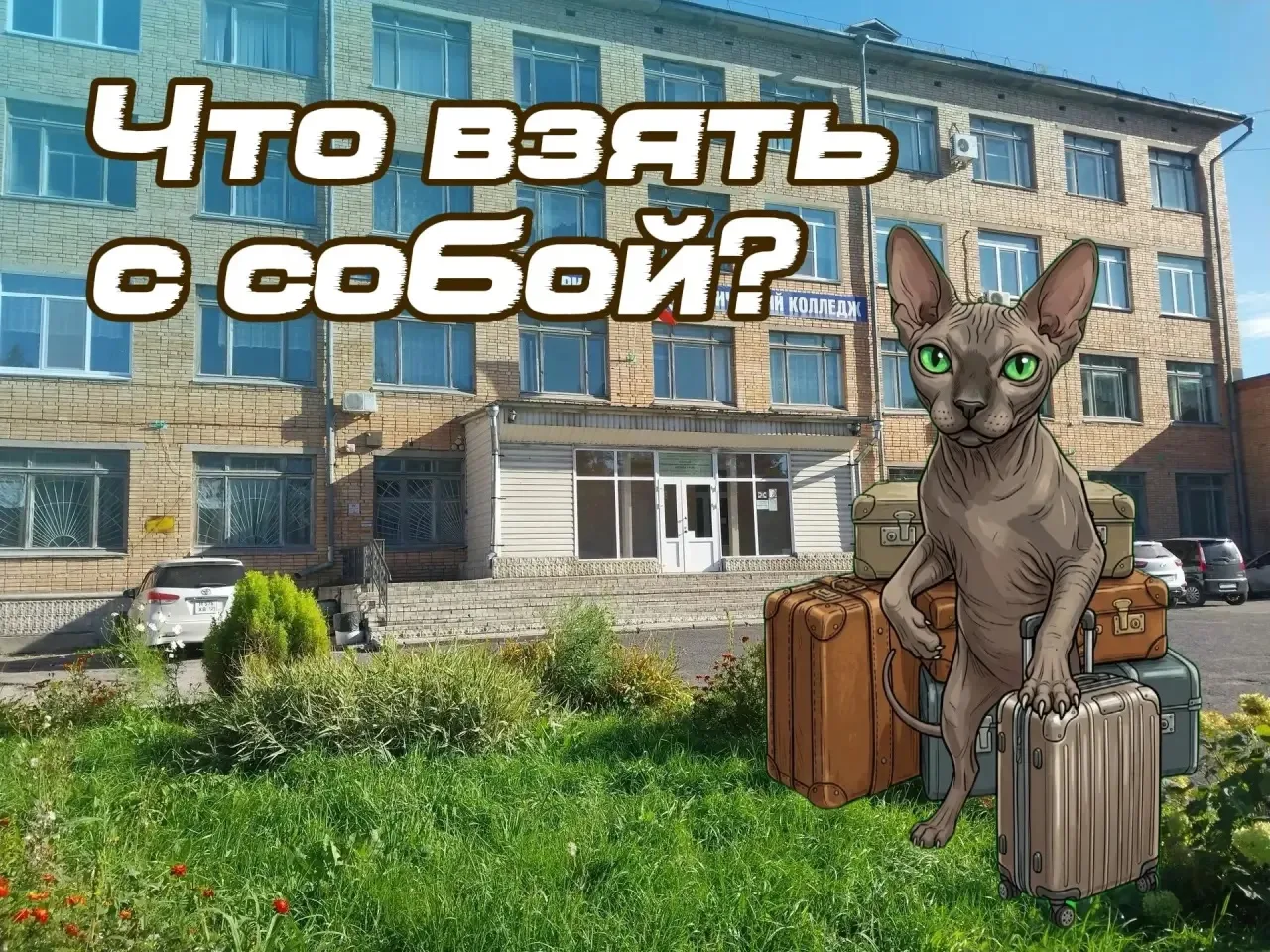 🎒 Поездка в общежитие: что взять с собой? Чек-лист необходимых вещей.