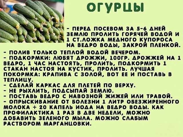 Сохрани - пригодится! 😉