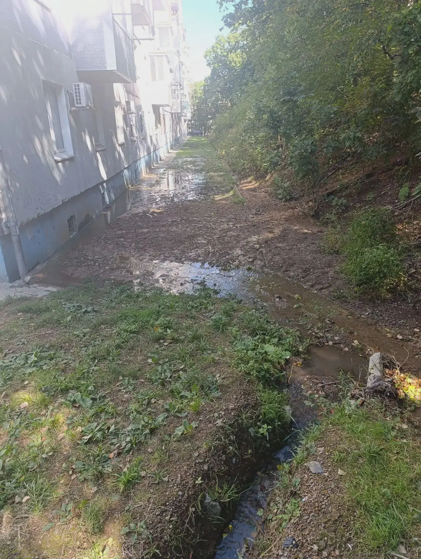 🌧️ Размытый водосток на Арсеньева, 23