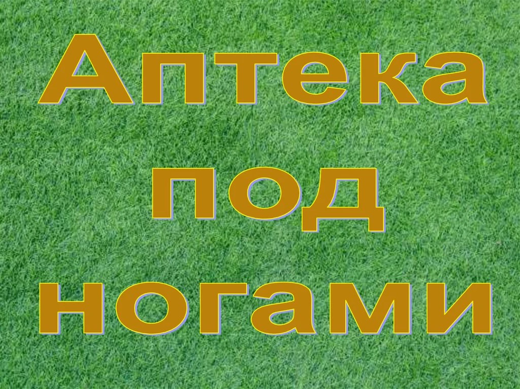 У нас прошло увлекательное экологическое занятие-практикум!

Мы с ребятами учились узнавать полезные