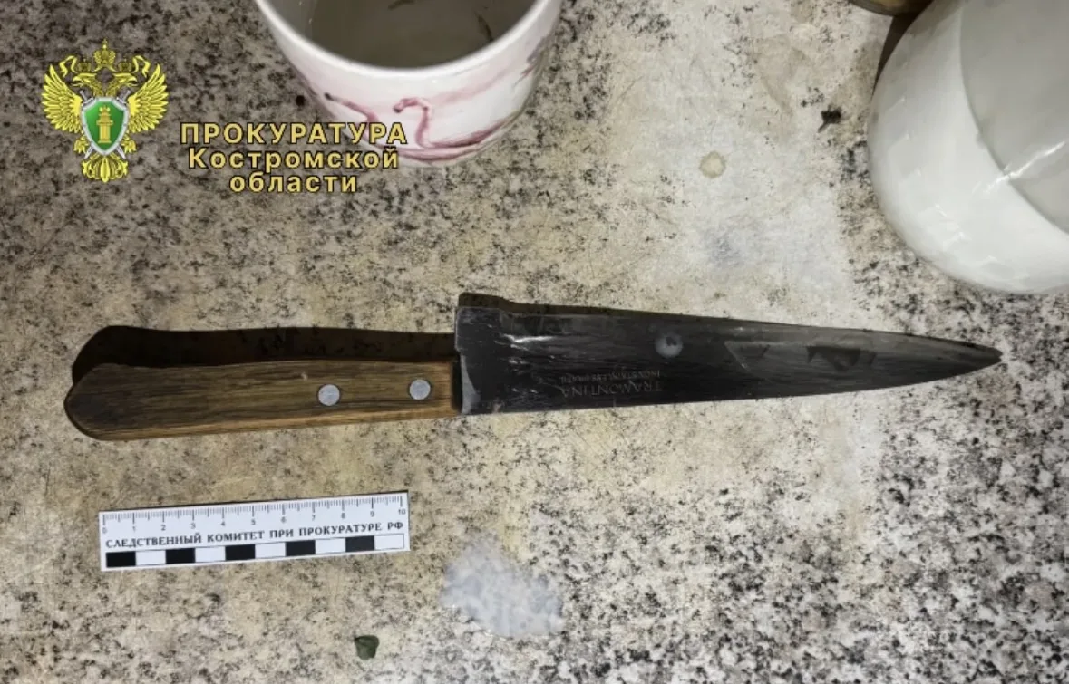 🛡️С учетом позиции Галичской межрайонной прокуратуры заключена под стражу 46-летняя  ж...