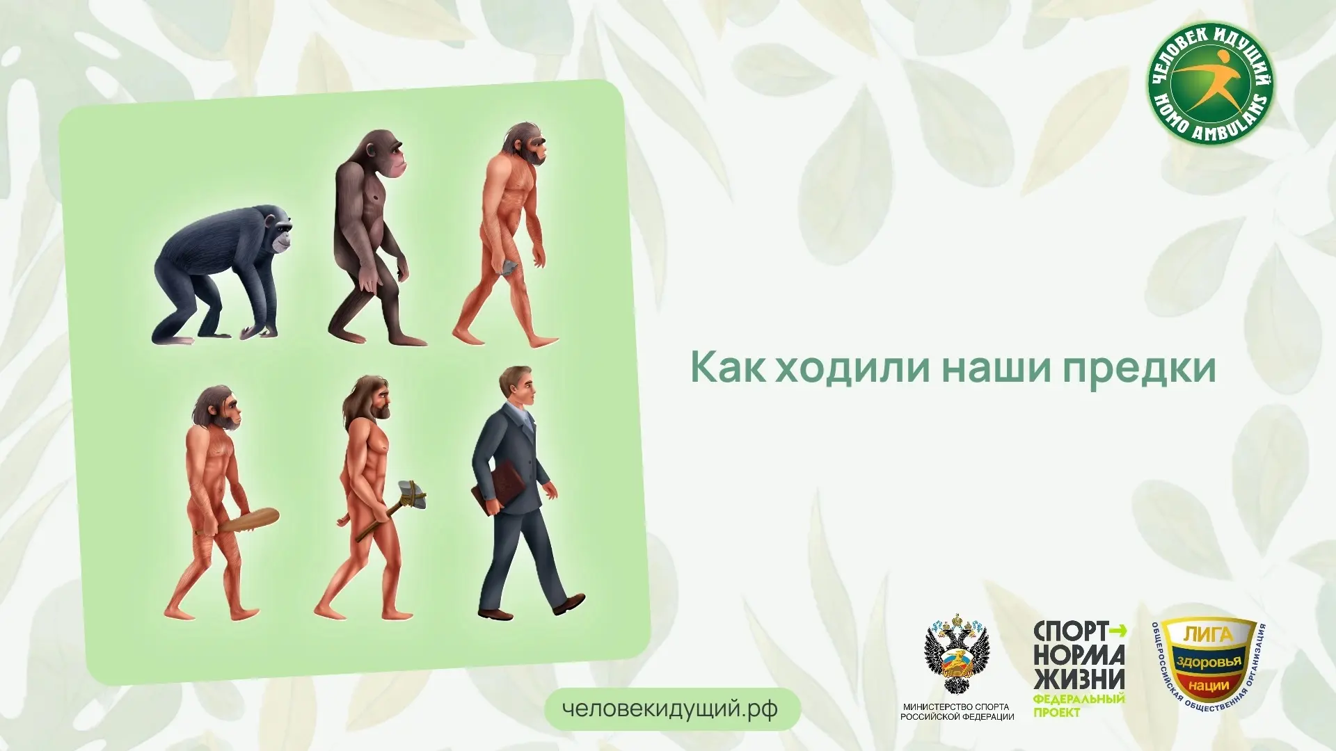 Наши предки ходили прямо уже 4 миллиона лет назад. Анализ древних следов в Танзании опроверг прежние