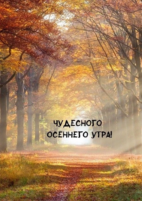 Каждый новый день - это страница нашей жизни, и только от нас зависит, чем закончится к...