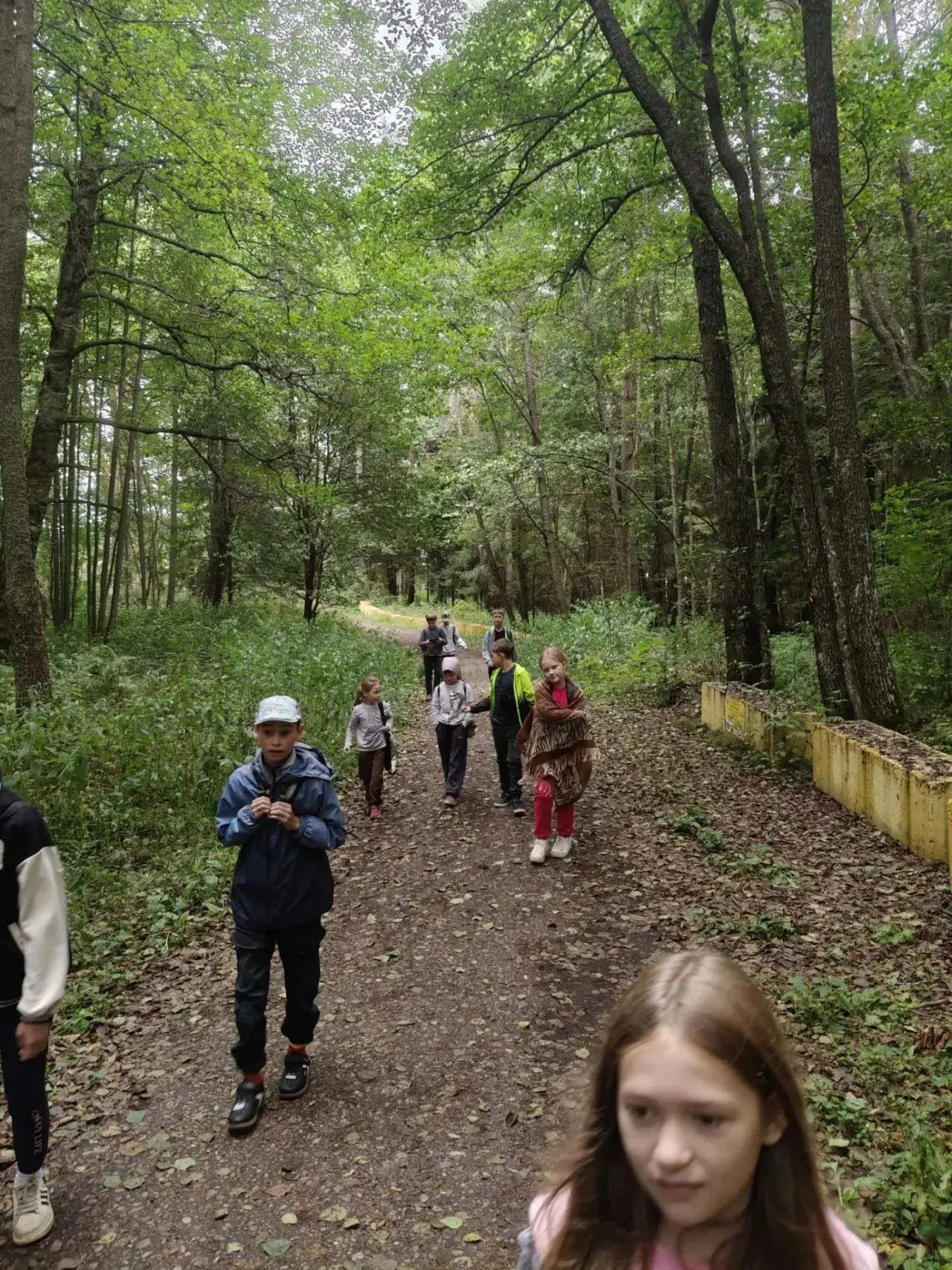 🌲 Итоги  Работы городского лагеря: 120 детей, поездки , развивающие занятия, природа Ф...