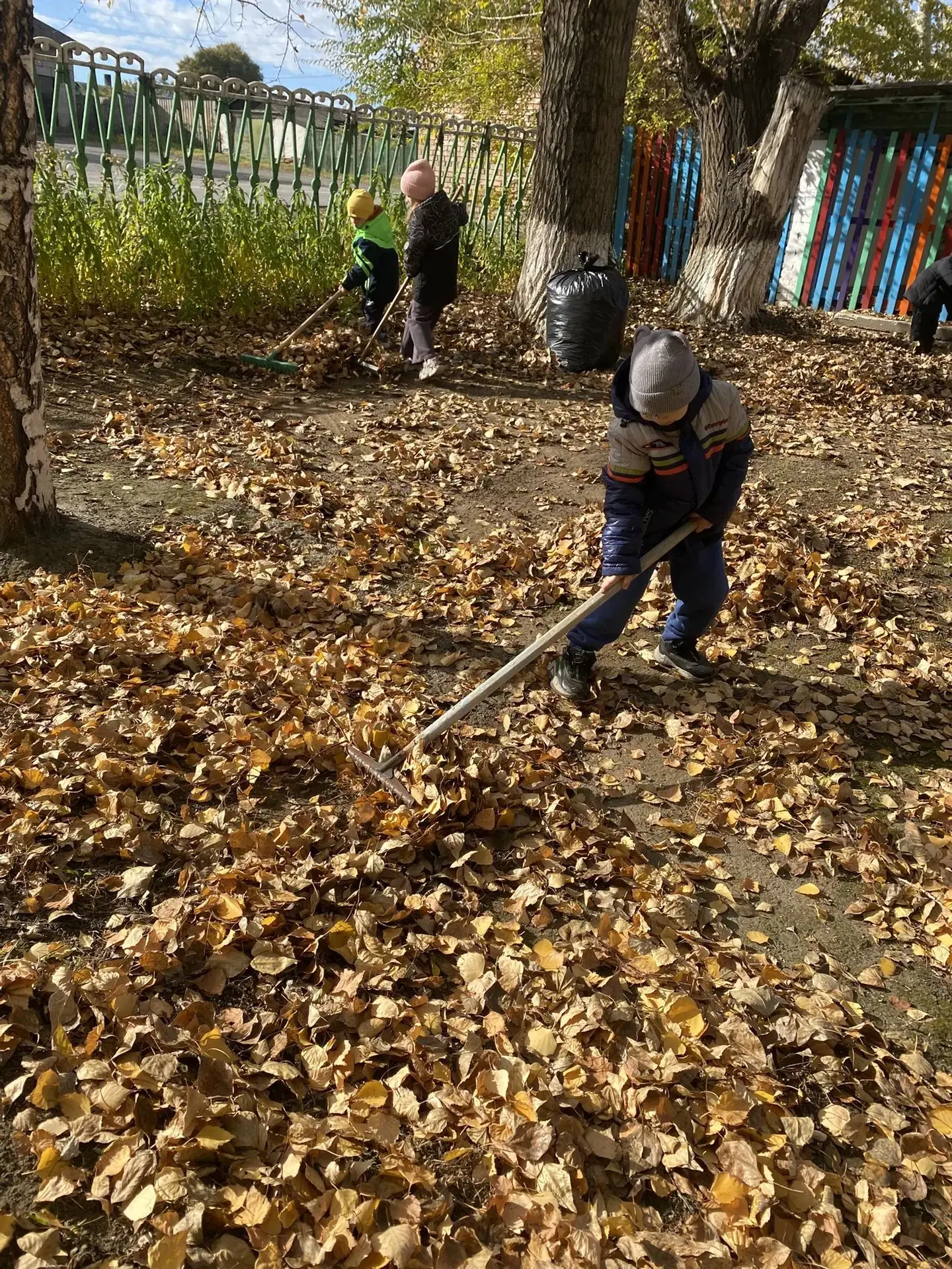 🍁🍂🍁Детский сад «Колобок» с гордостью присоединился к всемирной  экологической акции ...